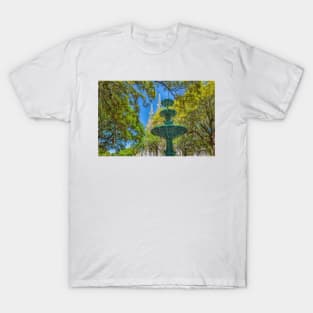 Historic District in Savannah, Georgia T-Shirt